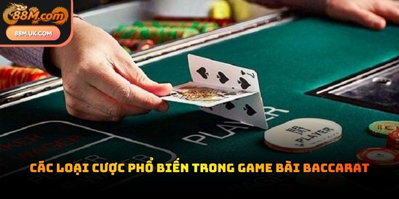 Bảng tỷ lệ trả thưởng chi tiết giúp người chơi lựa chọn cửa đặt cược phù hợp