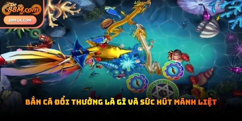 Không gian nước biển bao la với hàng trăm loài sinh vật kỳ thú đang bơi lội