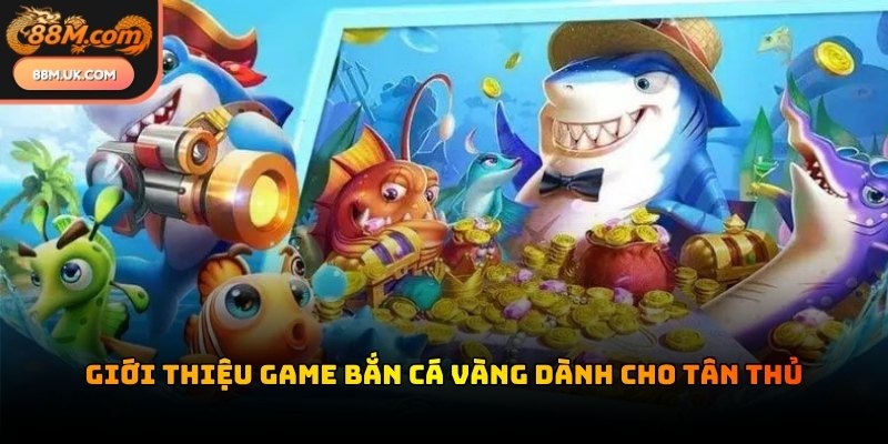 Đại dương đa màu sắc mở ra cơ hội làm giàu nhanh chóng cho mọi người