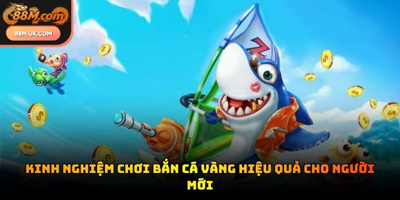 Lựa chọn thời điểm nhả đạn chính xác giúp bạn tiết kiệm ngân sách đáng kể