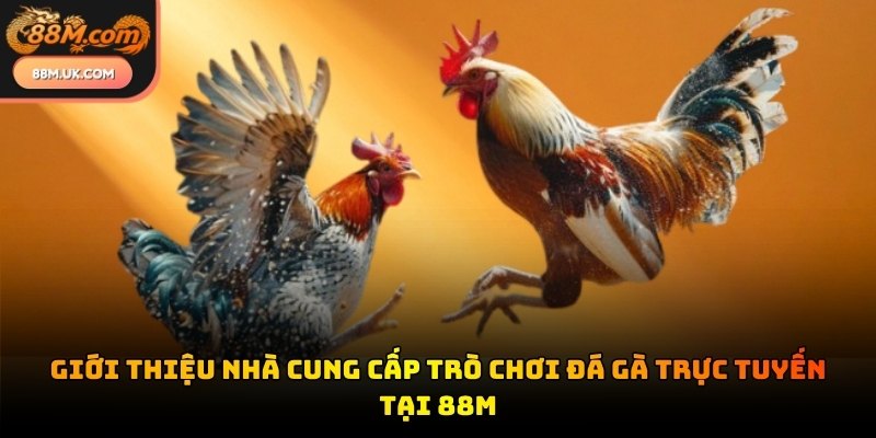 Sảnh cược đá gà 88M hợp tác với những đơn vị phát hành uy tín hàng đầu