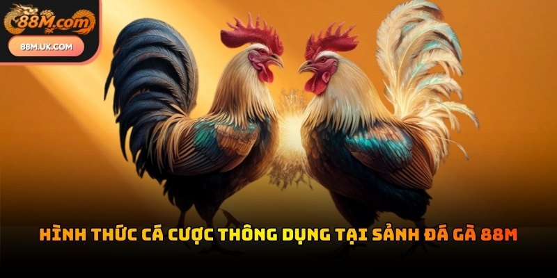 Nhà phát hành cung cấp nhiều thể loại phong phú cho hội viên lựa chọn