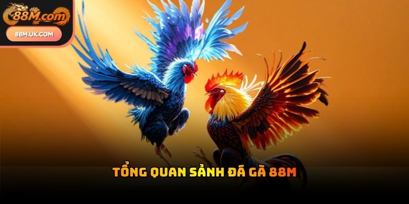 Đá gà 88M sở hữu giao diện chuyên nghiệp dễ dàng theo dõi trận đấu
