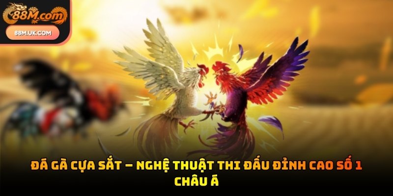 Đá gà cựa sắt