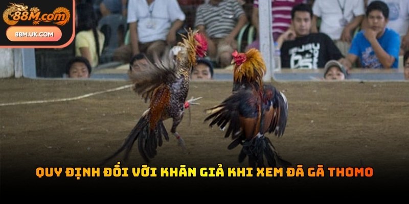 Người xem trực tuyến cần đảm bảo kết nối ổn định để trải nghiệm mượt mà