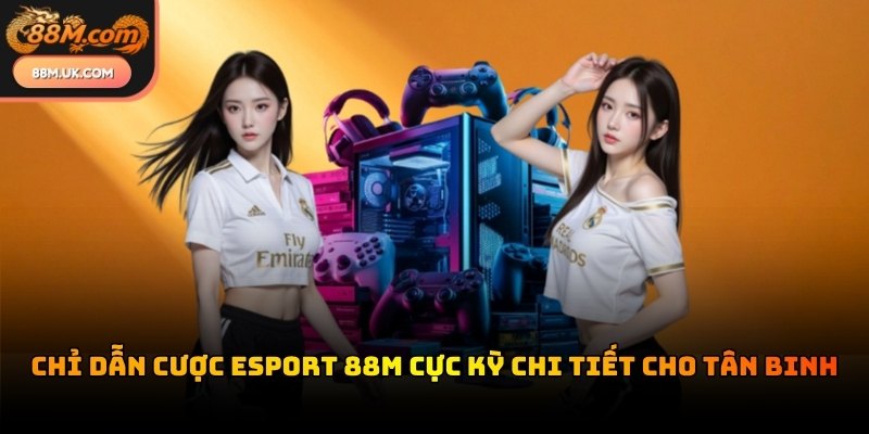 Hội viên cần nắm vững quy trình đặt cược để tối ưu lợi nhuận khi cá cược