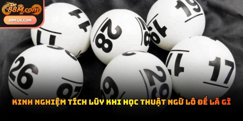 Ghi chép thuật ngữ đặc trưng của từng vùng miền để không bị bỡ ngỡ khi chơi