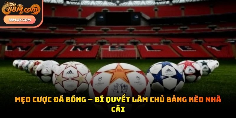 Mẹo cược đá bóng