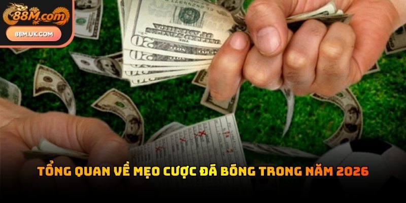 Hệ thống kèo chi tiết hỗ trợ người chơi nhận diện các cơ hội đầu tư sinh lời