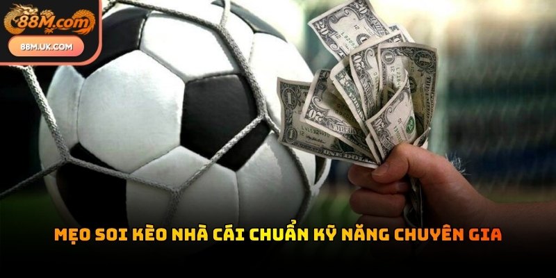 Thống kê dữ liệu chi tiết giúp cược thủ nắm bắt lợi thế trước mỗi trận đấu