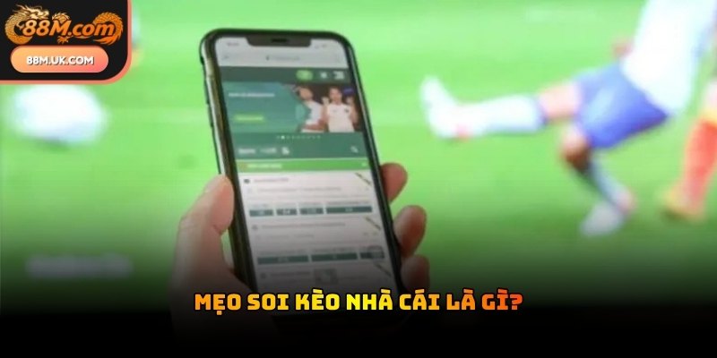 Kỹ năng đọc hiểu các con số giúp bạn nhận diện xu hướng thị trường chính xác