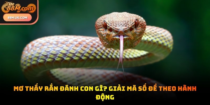 Nắm bắt các con số thông qua giấc mơ giúp bạn thử vận may tài lộc