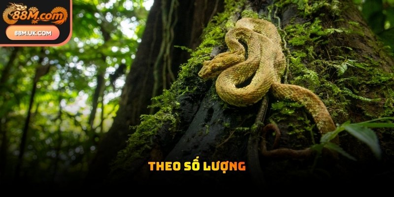 Số lượng rắn xuất hiện trong giấc ngủ mang lại những dự báo về tài lộc