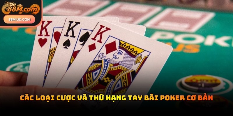 Tỷ lệ trả thưởng hấp dẫn thúc đẩy người chơi xây dựng bộ bài mạnh nhất