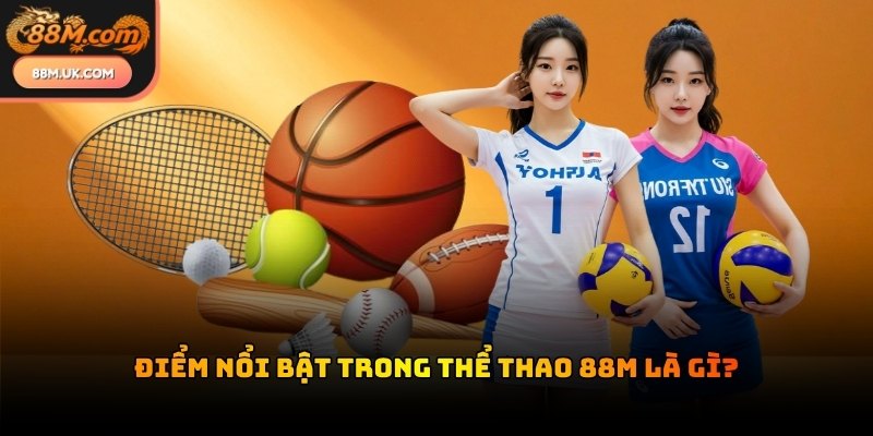 Thể thao 88M sở hữu giao diện thông minh giúp người chơi tra cứu dữ liệu dễ dàng.